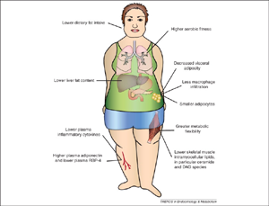 information about the perfect skin diet for healthy skin and better skin with a better diet healthy   living tips and more